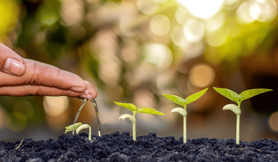 Carteiras de clientes, metas e remuneração variável: 3 fatores chave para negócios de sucesso
